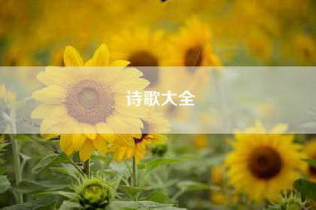 诗歌大全