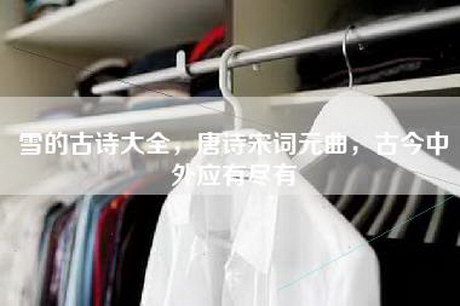 雪的古诗大全，唐诗宋词元曲，古今中外应有尽有