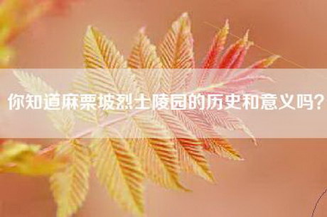 你知道麻栗坡烈士陵园的历史和意义吗？