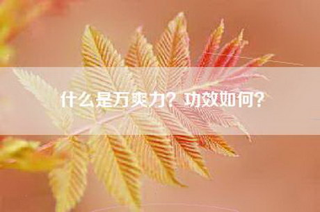 什么是万爽力？功效如何？