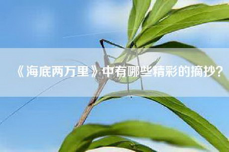 《海底两万里》中有哪些精彩的摘抄？