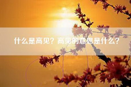 什么是高见？高见的意思是什么？