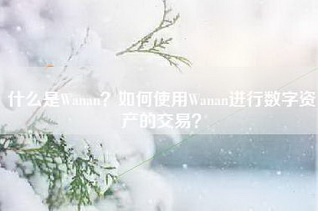 什么是Wanan？如何使用Wanan进行数字资产的交易？