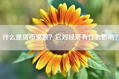 什么是货币乘数？它对经济有什么影响？