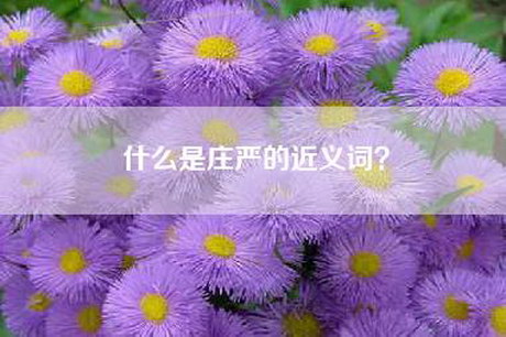 什么是庄严的近义词？