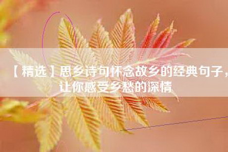 【精选】思乡诗句怀念故乡的经典句子，让你感受乡愁的深情