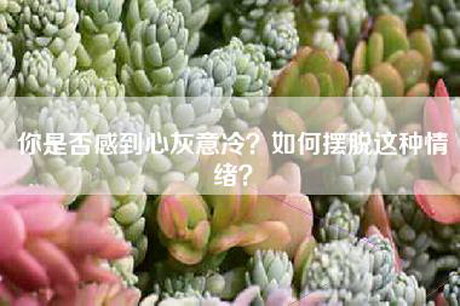 你是否感到心灰意冷？如何摆脱这种情绪？