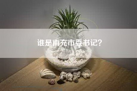 谁是南充市委书记？