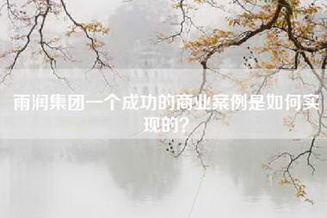 雨润集团一个成功的商业案例是如何实现的？