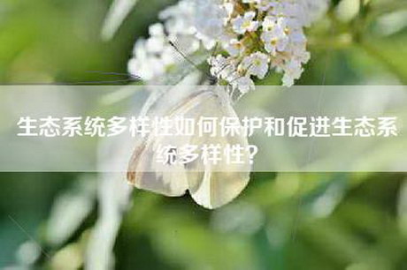 生态系统多样性如何保护和促进生态系统多样性？