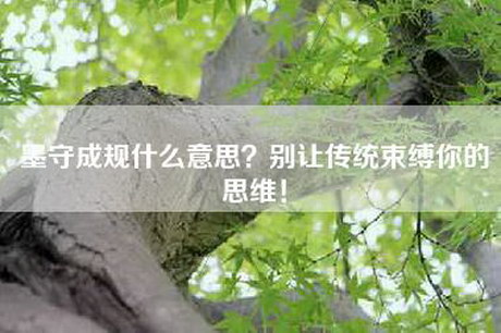 墨守成规什么意思？别让传统束缚你的思维！