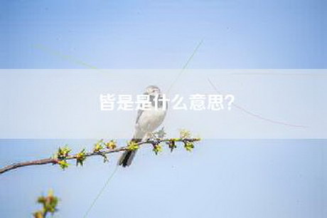 皆是是什么意思？