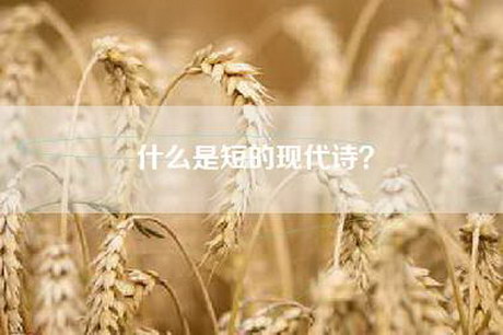 什么是短的现代诗？