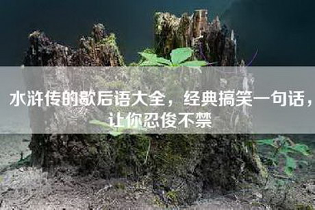 水浒传的歇后语大全，经典搞笑一句话，让你忍俊不禁