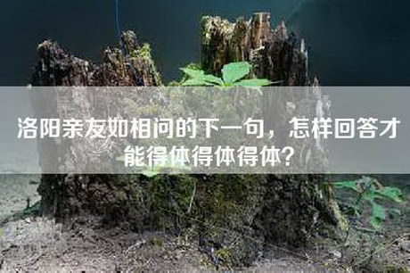 洛阳亲友如相问的下一句，怎样回答才能得体得体得体？