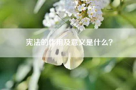 宪法的作用及意义是什么？