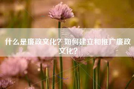 什么是廉政文化？如何建立和推广廉政文化？