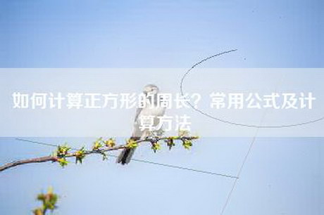 如何计算正方形的周长？常用公式及计算方法