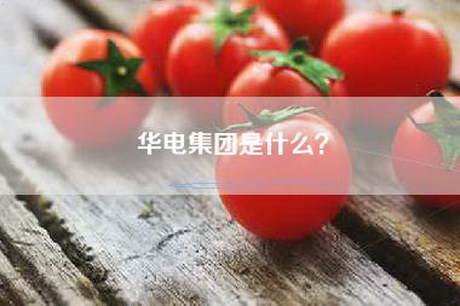 华电集团是什么？