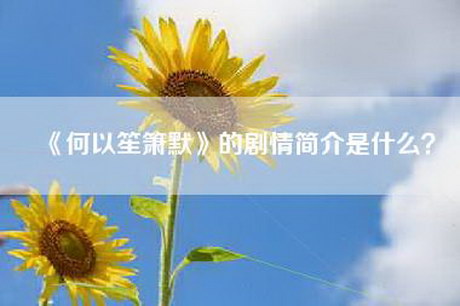 《何以笙箫默》的剧情简介是什么？