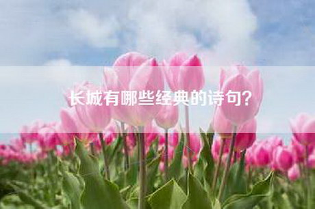 长城有哪些经典的诗句？