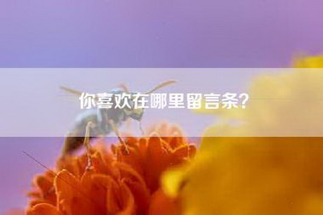 你喜欢在哪里留言条？