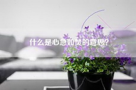 什么是心急如焚的意思？