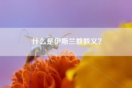 什么是伊斯兰教教义？