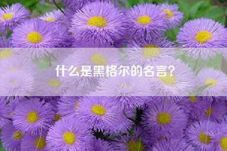 什么是黑格尔的名言？