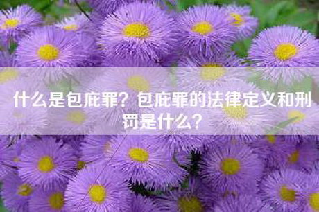 什么是包庇罪？包庇罪的法律定义和刑罚是什么？