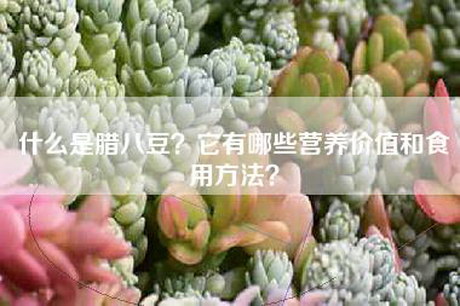 什么是腊八豆？它有哪些营养价值和食用方法？