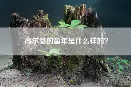 高尔基的童年是什么样的？