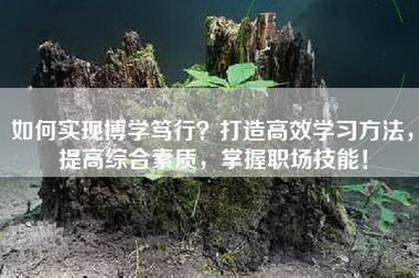 如何实现博学笃行？打造高效学习方法，提高综合素质，掌握职场技能！