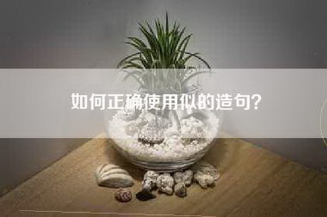 如何正确使用似的造句？