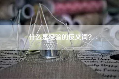 什么是经验的反义词？