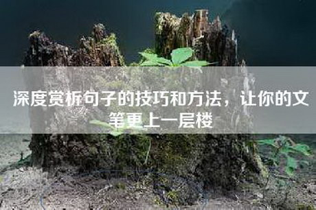 深度赏析句子的技巧和方法，让你的文笔更上一层楼