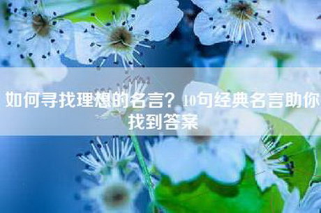 如何寻找理想的名言？10句经典名言助你找到答案