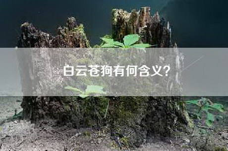 白云苍狗有何含义？