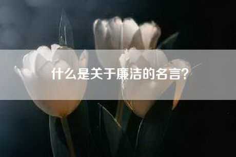 什么是关于廉洁的名言？