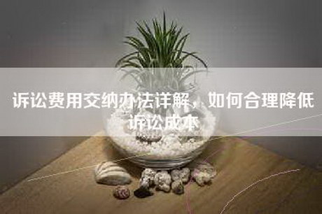 诉讼费用交纳办法详解，如何合理降低诉讼成本