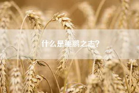 什么是鲲鹏之志？