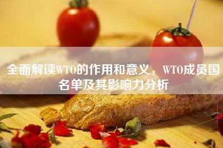 全面解读WTO的作用和意义，WTO成员国名单及其影响力分析