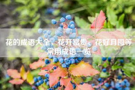 花的成语大全，花开富贵、花好月圆等常用成语一览