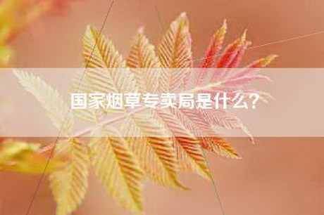 国家烟草专卖局是什么？