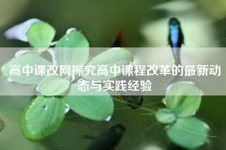 高中课改网探究高中课程改革的最新动态与实践经验