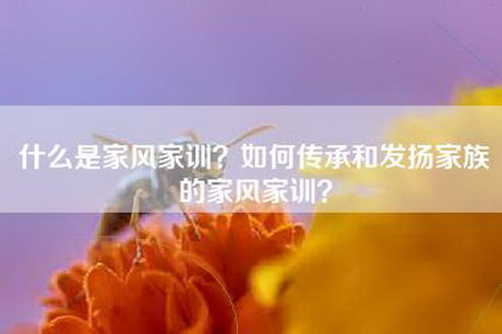 什么是家风家训？如何传承和发扬家族的家风家训？