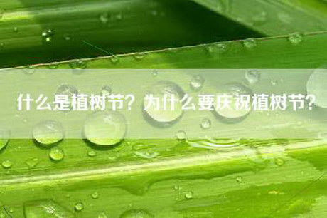 什么是植树节？为什么要庆祝植树节？