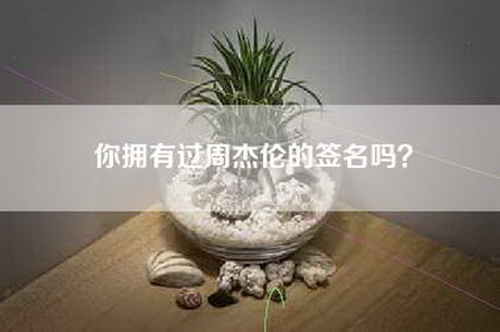 你拥有过周杰伦的签名吗？