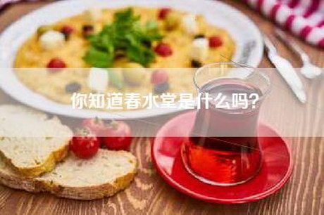 你知道春水堂是什么吗？