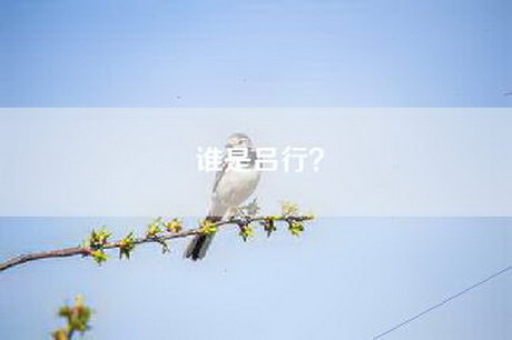 谁是吕行？